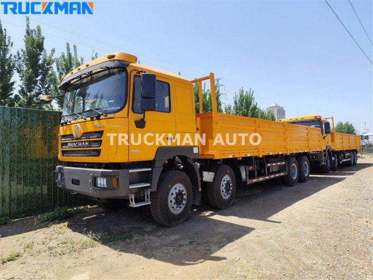 SHACMAN F3000 50 toneladas 8x4 camión de carga PARA la venta