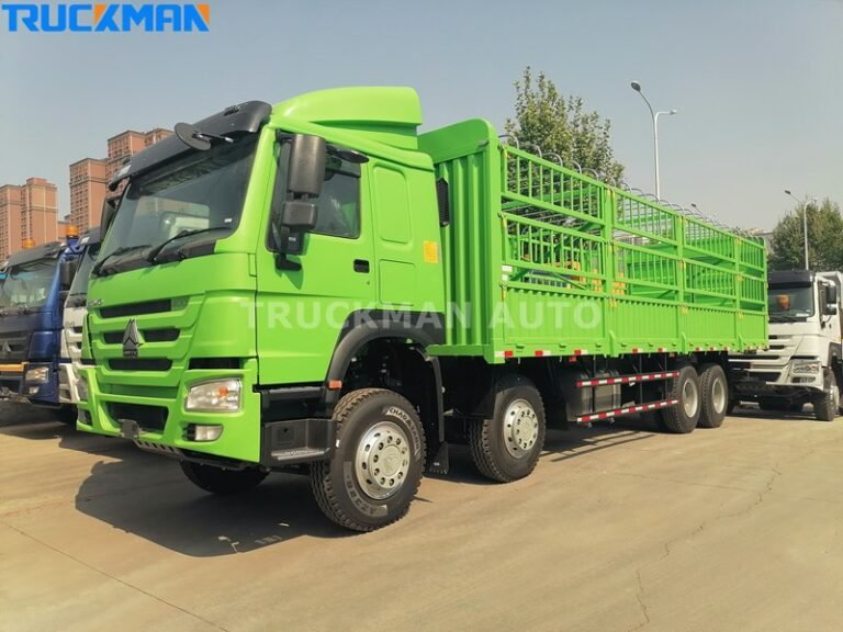 Camión de 12 ruedas SINOTRUCK HOWO